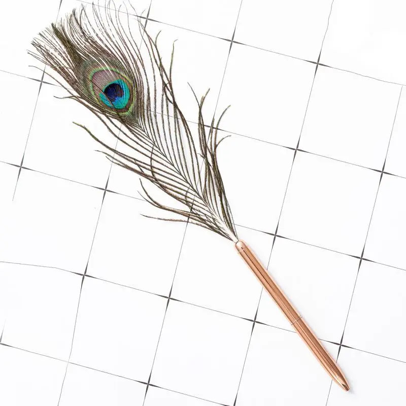 1 Unidade de Caneta Esferográfica com Penas
